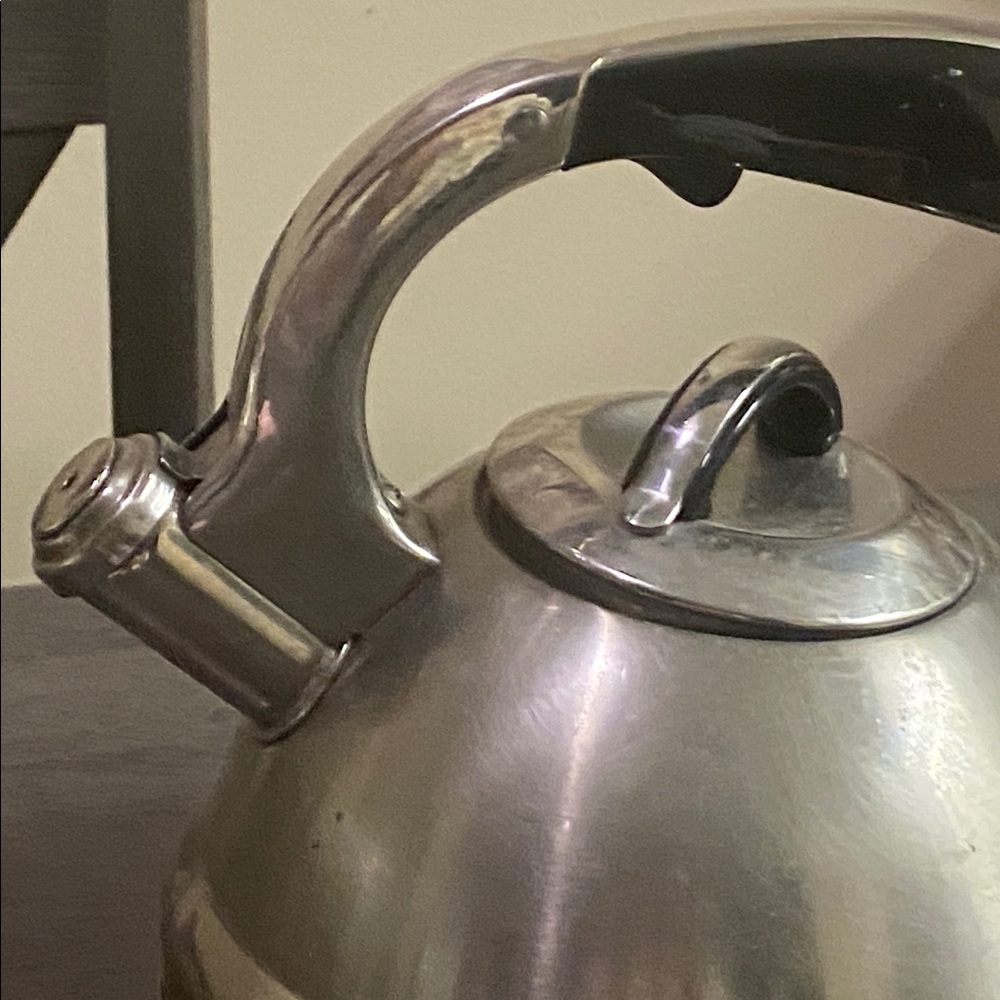 Stainless Steel Whistling Kettle with Black Handle - Picture 2 of 6